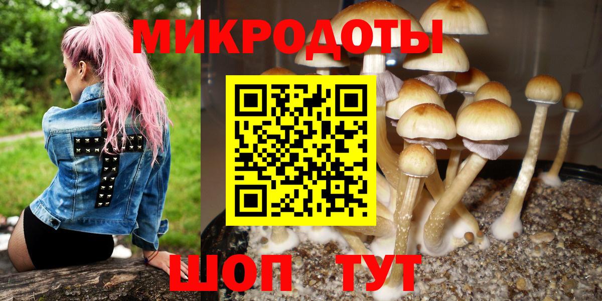 Псилоцибиновые грибы MAGIC MUSHROOMS Нижнеудинск