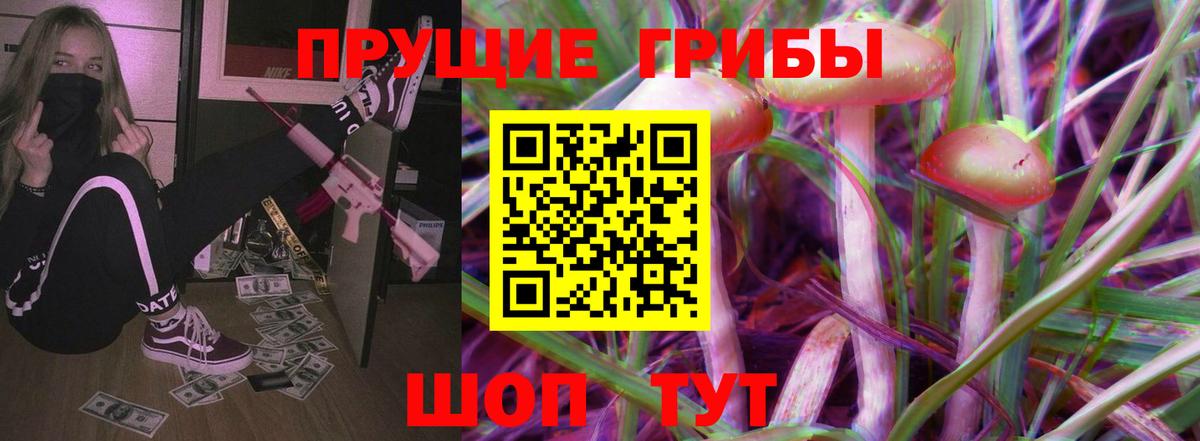 Галлюциногенные грибы Psilocybe  купить наркотики сайты  Нижнеудинск  Вход с VPN 